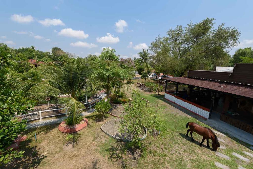 Cowboy Farm Resort Pattaya Ban Huai Yai المظهر الخارجي الصورة