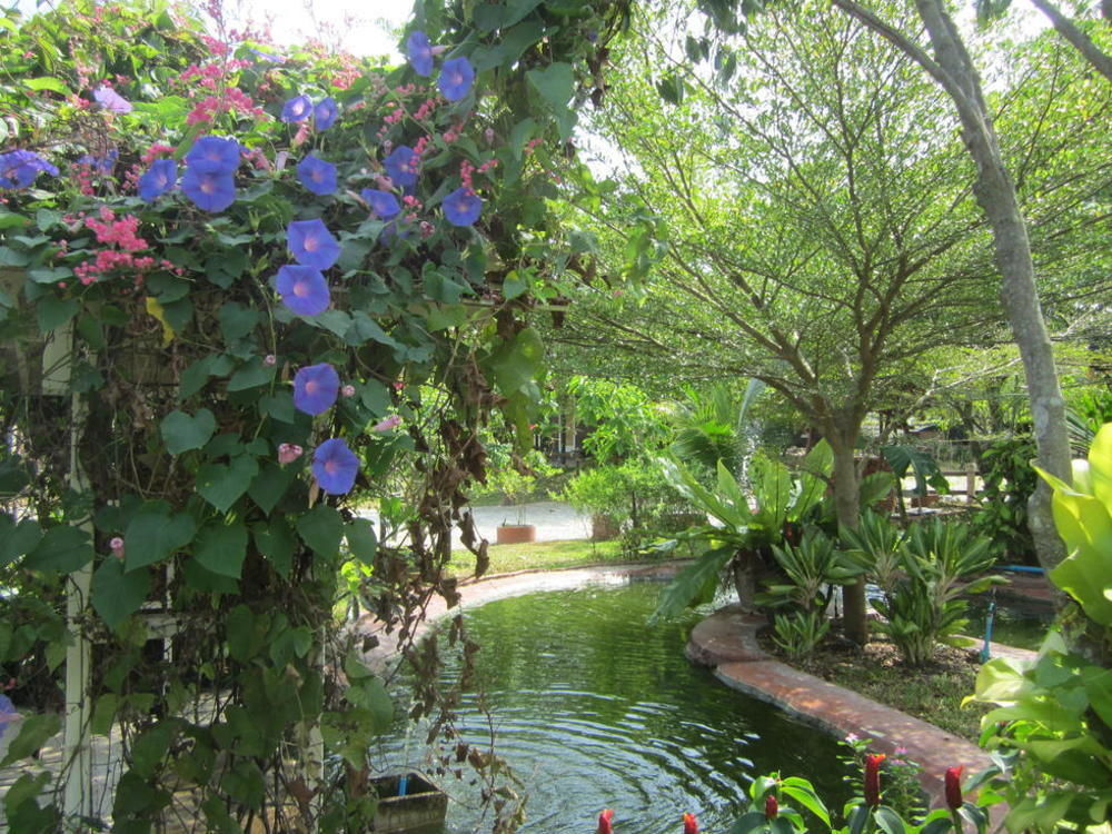 Cowboy Farm Resort Pattaya Ban Huai Yai المظهر الخارجي الصورة